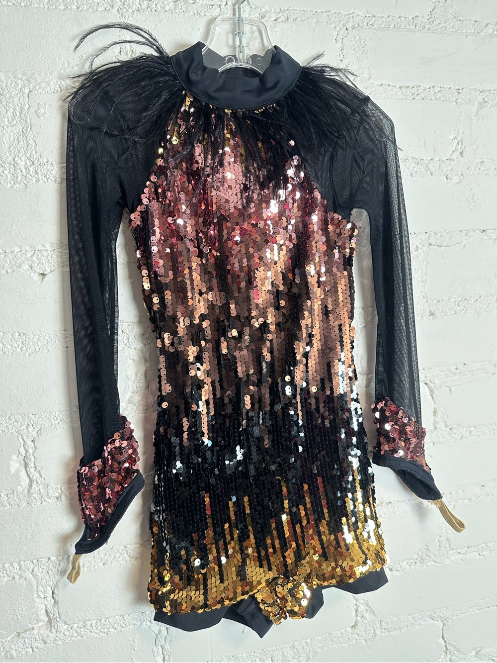 Weissman Adieu 10585| Showtime Ombré Sequin Feather Mesh Sleeve Dance Costume CS